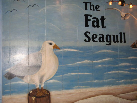 Fat Seagull
